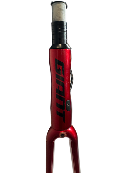 Giant TCR Advance 2