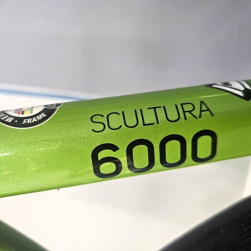 Merida 6000 Scultura